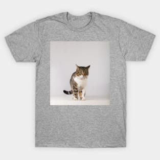 adorable striped cat T-Shirt